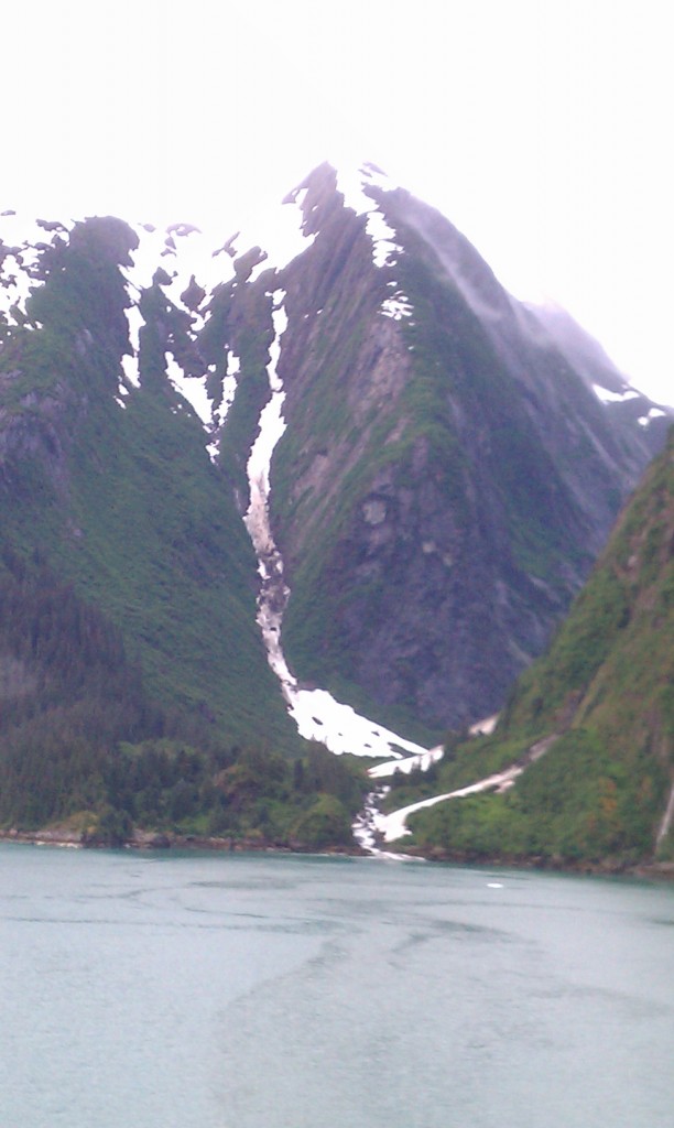 Tracy Arm 3